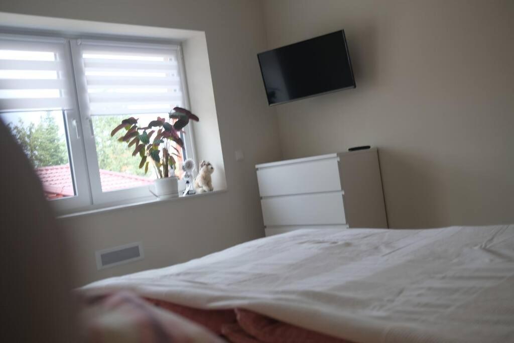 Ferienwohnung Arendsee Arendsee  Buitenkant foto